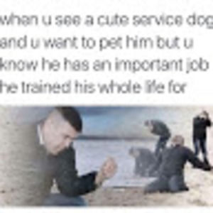 Meet your Posher, Troy